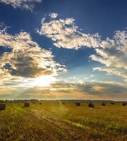 RESIDENTIAL Texas Land Acreage